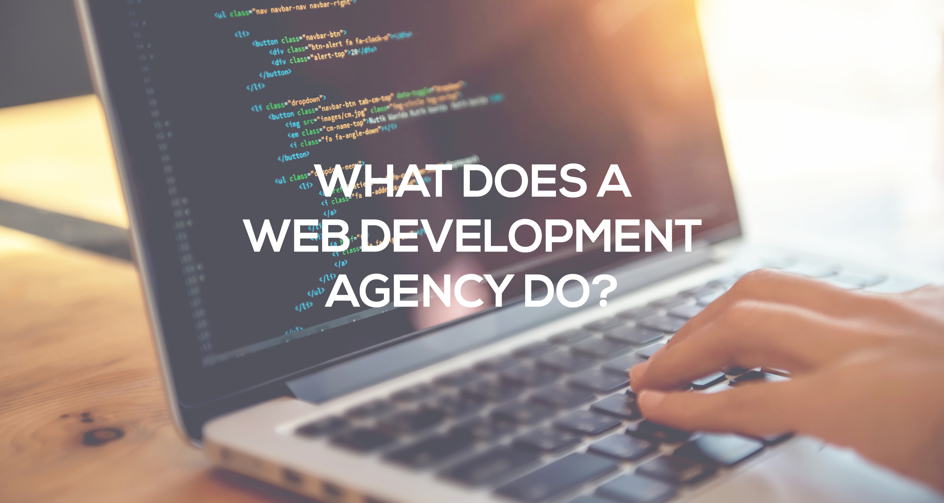 what does a web development agency do