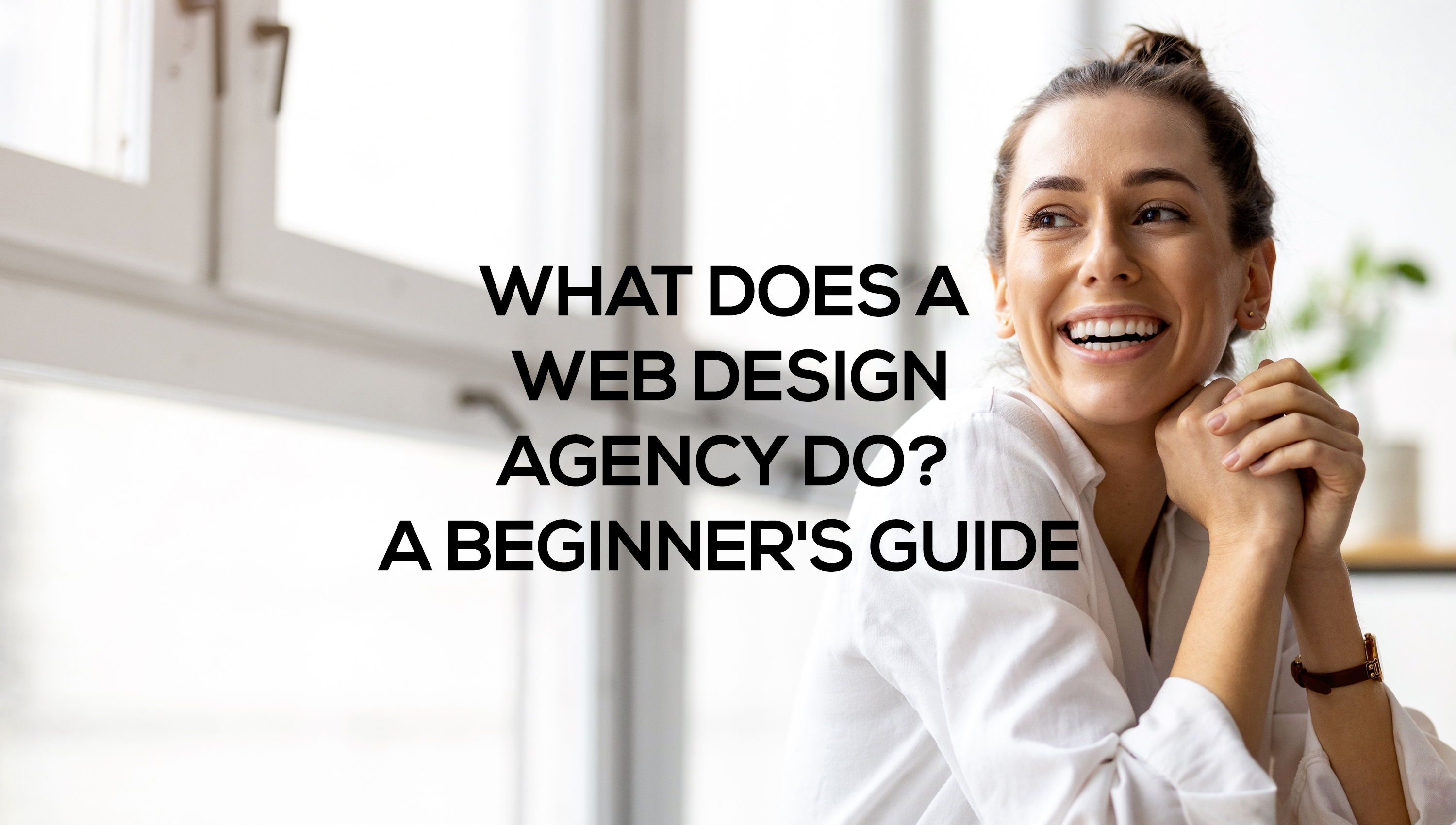 what does a web design agency do?